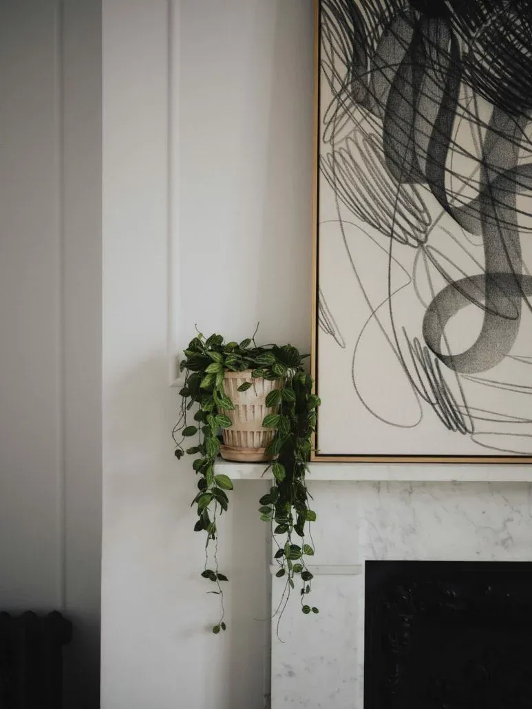 Pot en terre cuite – Panthéon – Image 2