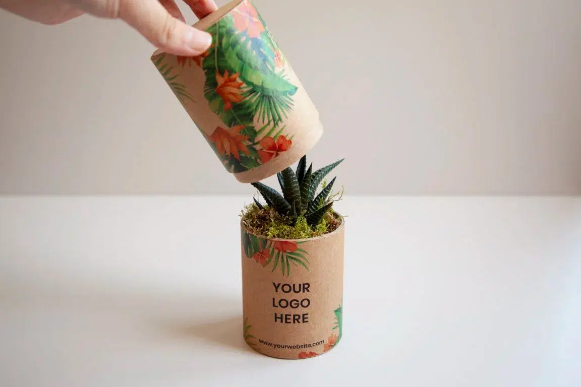 Cactus en Tube – Image 5