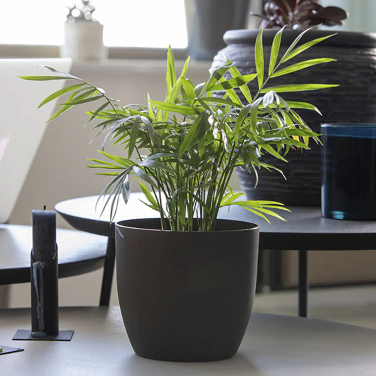 Pot de fleurs compostable personnalisable en marc de café – Image 4