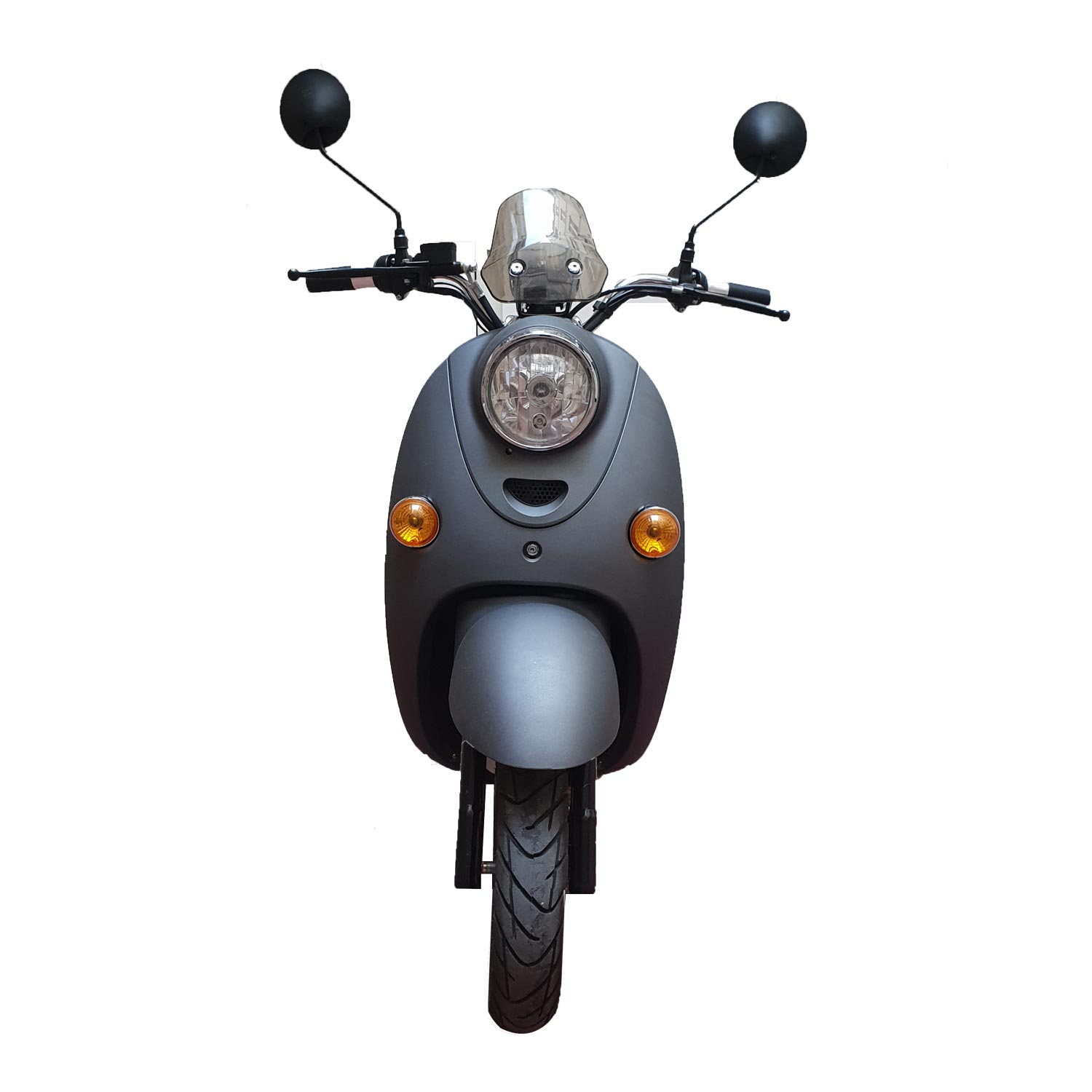 Rider 1500W Frison Gris Occasion 30 km – Image 2